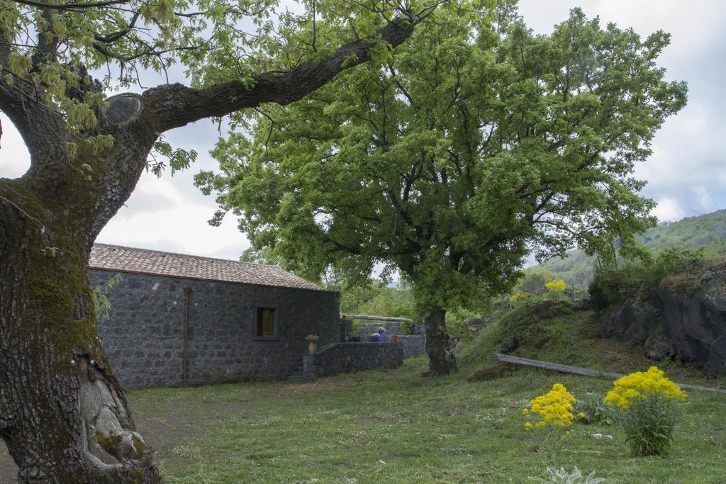 Viola Nel Parco Vila SantʼAlfio Exterior foto