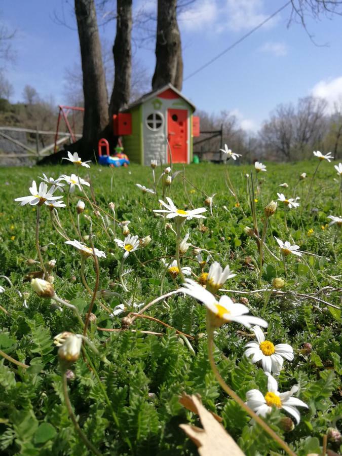 Viola Nel Parco Vila SantʼAlfio Exterior foto