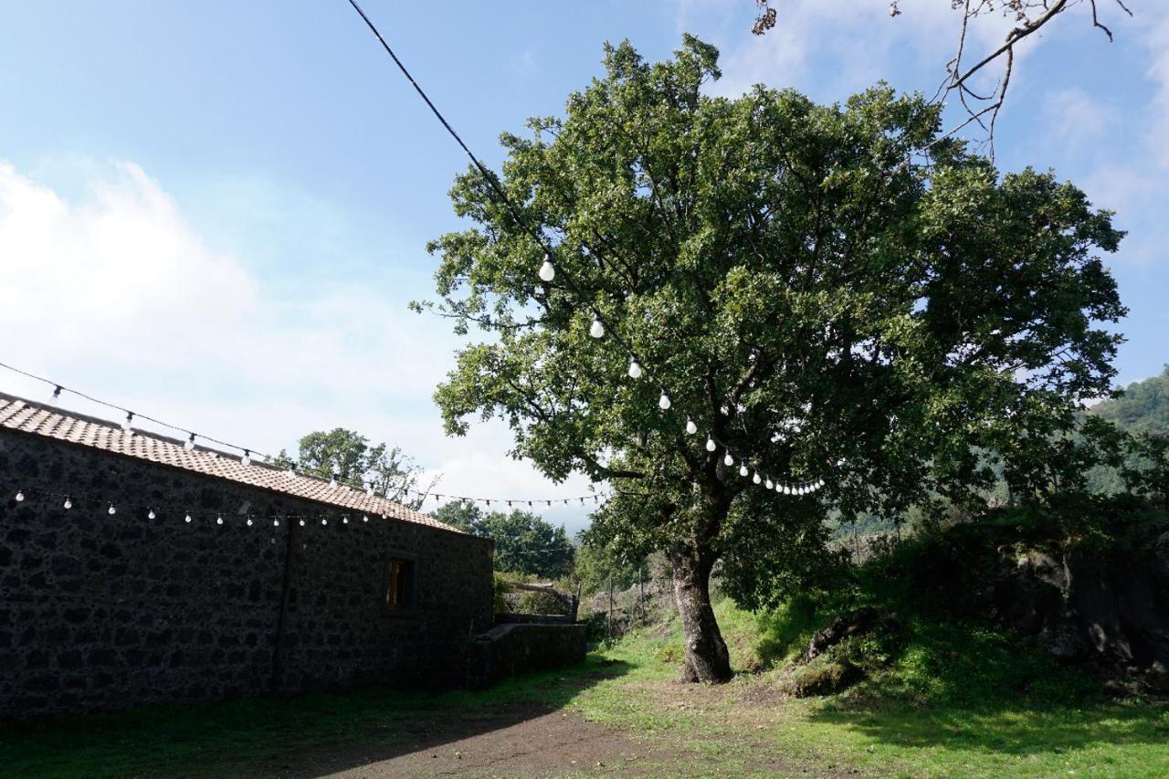 Viola Nel Parco Vila SantʼAlfio Exterior foto